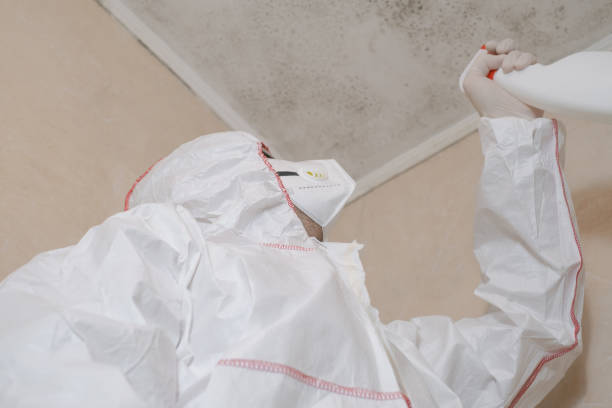 Best Emergency Mold Remediation in Williamsport, PA